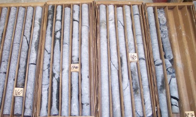 Ore core samples from Rough Stock's mine scoping study
